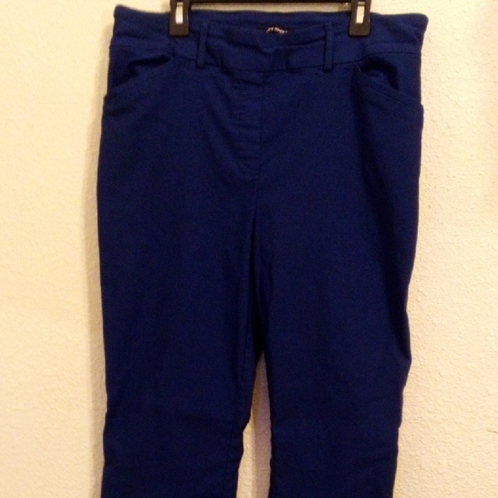 Hilary Radley Royal Blue Pull On Straight Leg Pants Womens Large L/G Stretch - Picture 2 of 5